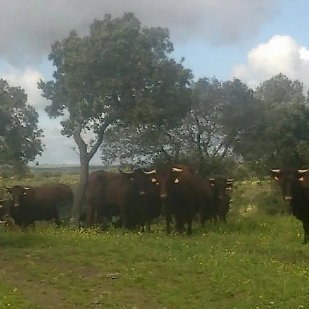 Holiday home El Aleznal