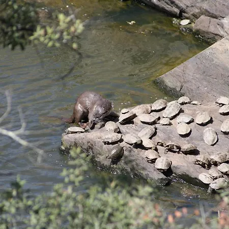 Holiday home El Aleznal