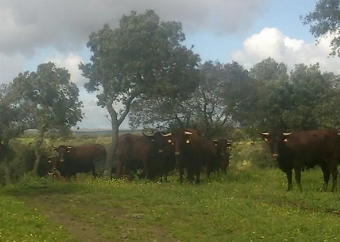 Holiday home El Aleznal