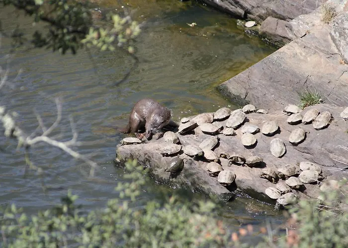 Prázdninový dům El Aleznal